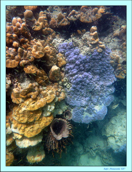 2011 - 03 - Koh Kradan 063